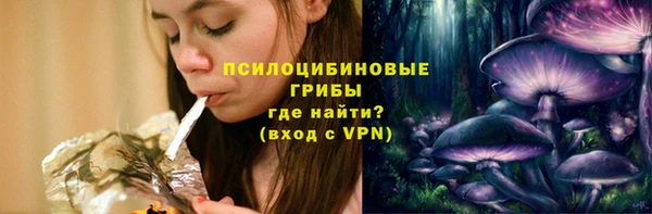 ПСИЛОЦИБИНОВЫЕ ГРИБЫ Белокуриха