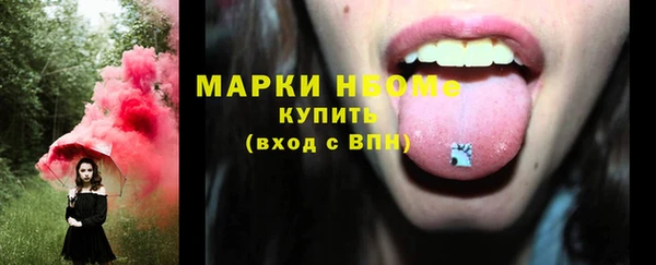 ПСИЛОЦИБИНОВЫЕ ГРИБЫ Белокуриха