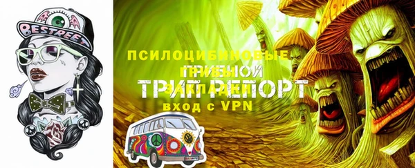 молекула духа Семикаракорск