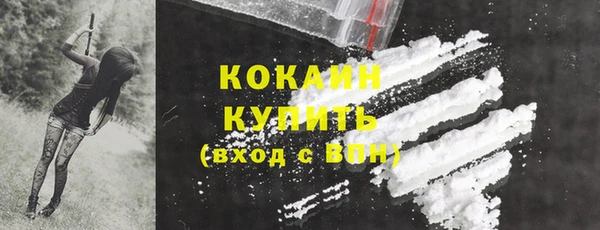 ПСИЛОЦИБИНОВЫЕ ГРИБЫ Белокуриха